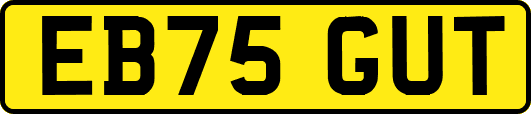 EB75GUT