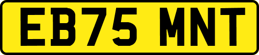 EB75MNT