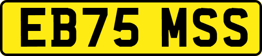 EB75MSS