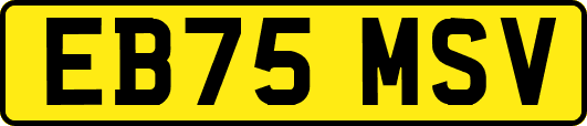 EB75MSV
