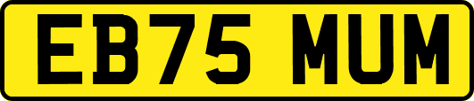 EB75MUM