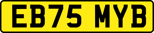 EB75MYB