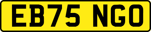 EB75NGO