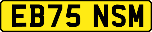 EB75NSM