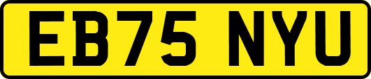 EB75NYU