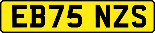 EB75NZS
