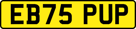 EB75PUP