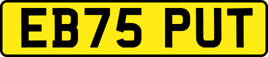 EB75PUT