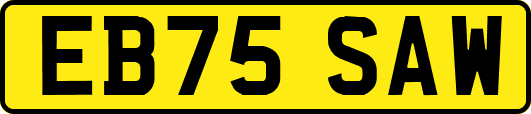 EB75SAW