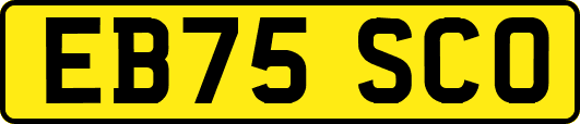 EB75SCO