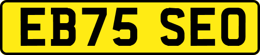 EB75SEO