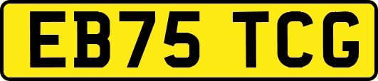 EB75TCG