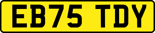 EB75TDY