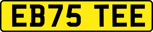 EB75TEE