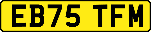 EB75TFM