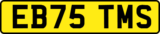 EB75TMS