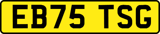 EB75TSG