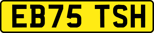 EB75TSH