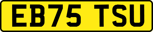 EB75TSU