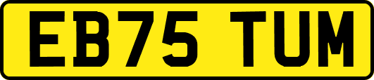 EB75TUM