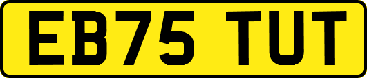 EB75TUT