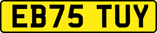 EB75TUY
