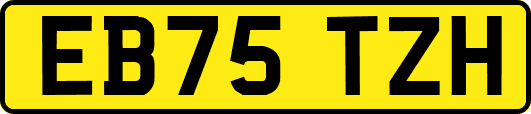 EB75TZH