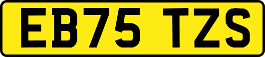 EB75TZS
