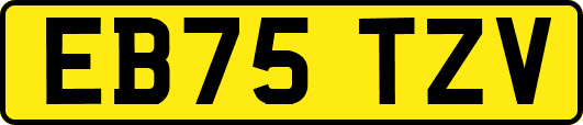EB75TZV