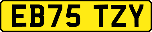 EB75TZY