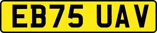 EB75UAV
