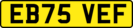 EB75VEF