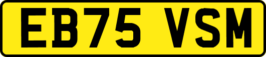 EB75VSM