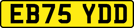 EB75YDD