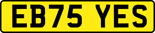 EB75YES