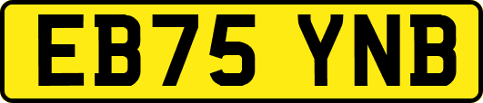 EB75YNB