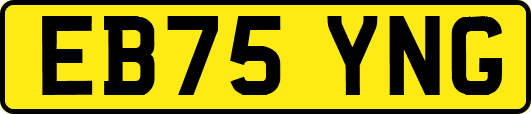 EB75YNG