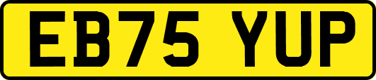 EB75YUP