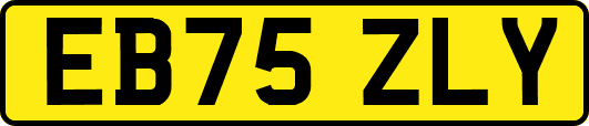 EB75ZLY
