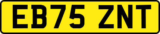 EB75ZNT