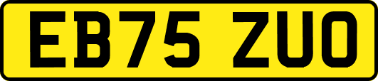 EB75ZUO