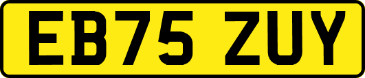 EB75ZUY