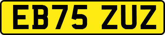EB75ZUZ