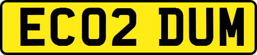EC02DUM