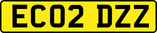 EC02DZZ