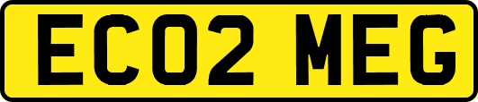 EC02MEG