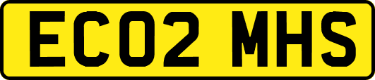 EC02MHS