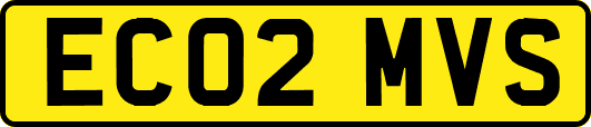 EC02MVS