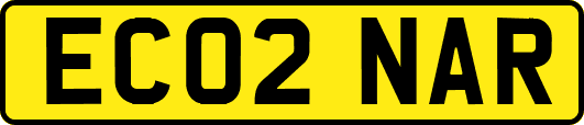 EC02NAR