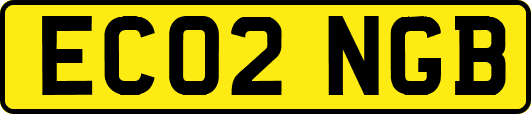 EC02NGB